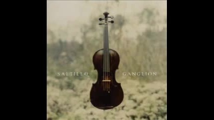 Saltillo - 002 F#m