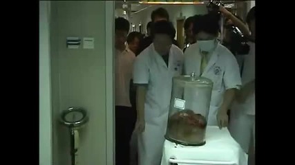 Човекът Хипопотам 