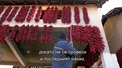 Бране на чушки | сезон 4 | Европа отвисоко | National Geographic Bulgaria