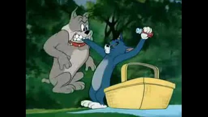 Tom & Jerry - Pup On A Picnic