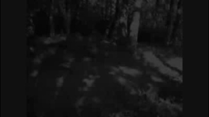 Forest - To The Spirits Fire