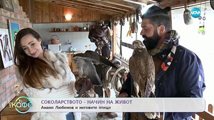 Соколарството като начин на живот - „На кафе” (01.03.2023)
