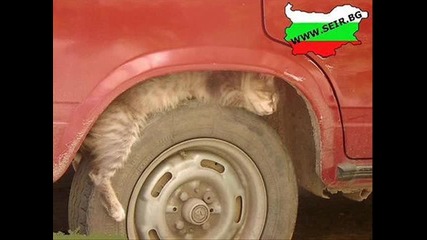 Това може да се види само в България!