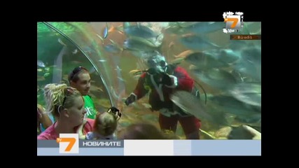Смел Дядо Коледа храни акули