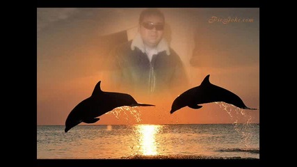 dj simo 