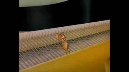 Tom Jerry 25 