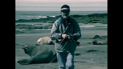 Discovery Channel Vahsi Yasam Belgeseli izle 2010 Hq 