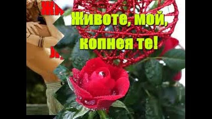 Животе Мой 