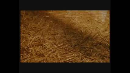 Soggy Bottom Boys- I Am A Man Of Constant Sorrow