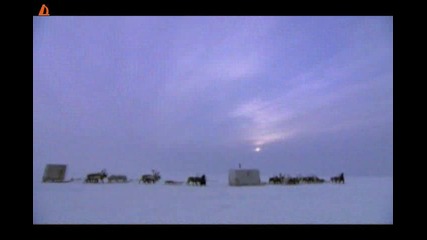 Първият плач