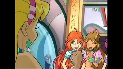 bloom and stella