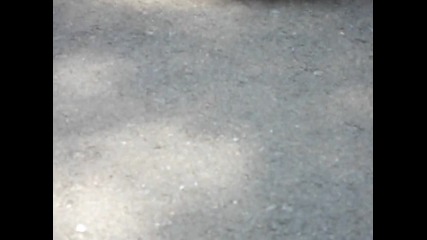 Rally Ruse 2012