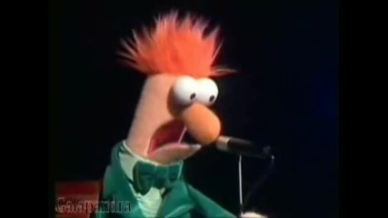 Hard Muppets - Cannibal Corpse Cover 