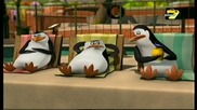 Пингвините От Мадагаскар Сезон 2 Епизод 24 Бг Аудио