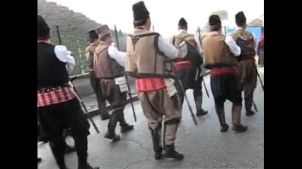 surva plaja 2010