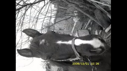 hors.wmv