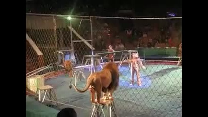Ужас в цирка