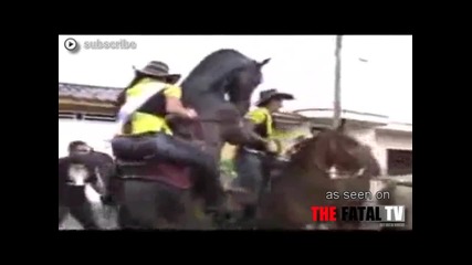 Коня Си Хареса Ездачката 