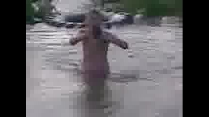 Izrodi