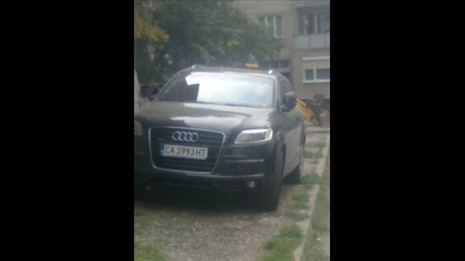koli ot pleven 