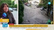 Шофьор прегази с бясна скорост куче в София и избяга
