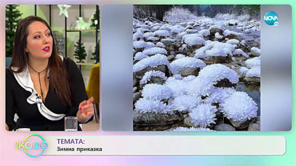 Ако бяхме безсмъртни... - „На кафе” (08.01.2020)