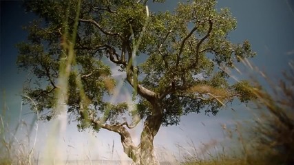Hallelujah . Peter Hollens Feat. Alisha Popat