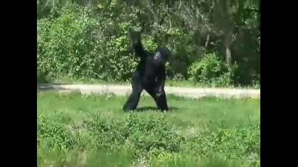 Лудия Big Foot is here part 7