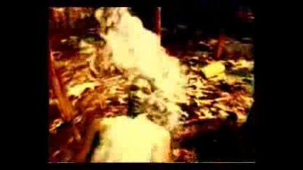 Felix feat Swayn - Don t You Want Me