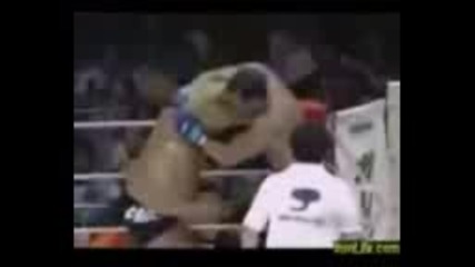 Mma Brutality - Sickest Knockout ever