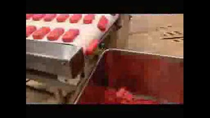 Жена, Която Се Мисли За Крава 5
