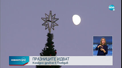 Коледна елха краси центъра на Пловдив
