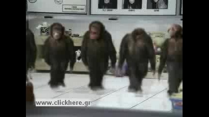 Танца На Маймуните