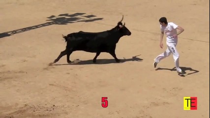 игра на живот и смърт с ядосън бик