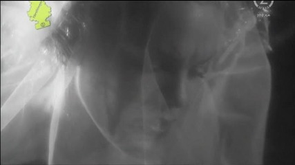 [ New ] Pink - I dont believe you