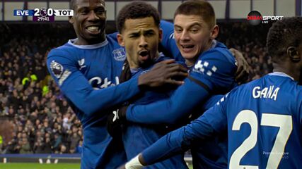 Goal by Everton