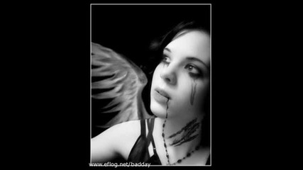 Darren Hayes - Like It or Not 