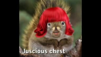 Rihanna 'only Girl' Parody - Squirrel in the World' w Conan by B.b. Bling