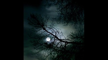 Balmorhea - To The Order Of Night 