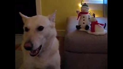 Куче Пее Jingle Bells