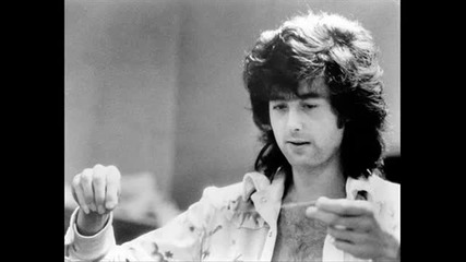 The firm live in peace