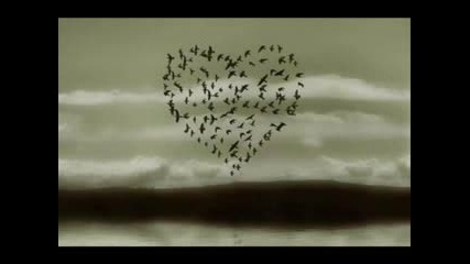 Гамена - Твоето Момче