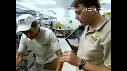 Discovery Channel - Dirty Jobs (bugs)