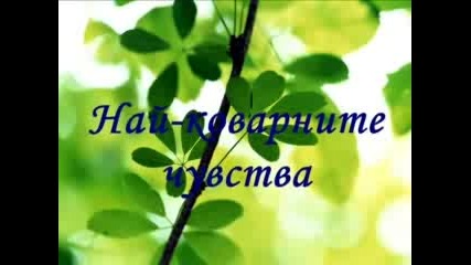 Вяра,Надежда,Любов