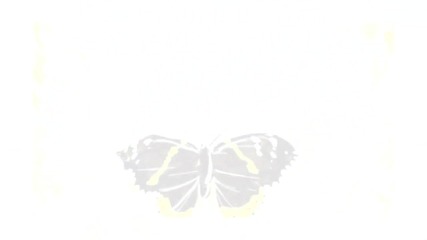 Sarah Brightman __ El Hambra