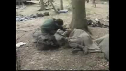 Hippies Invade Stonehenge 1988