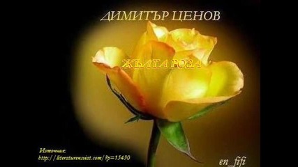 Жълта роза - Димитър Ценов