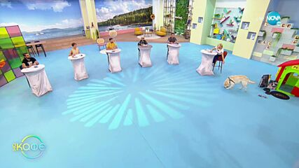 Куче не поглежда към любимата си играчка докато е в пералнята - "На кафе" (28.10.2021)