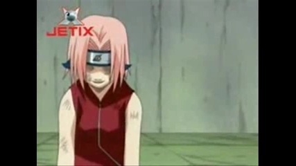 sakura - 2 