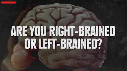 Интересен тест - Кое полукълбо на мозъка си използвате ?